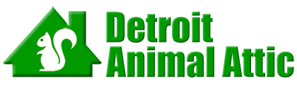 Detroit Animal Attic